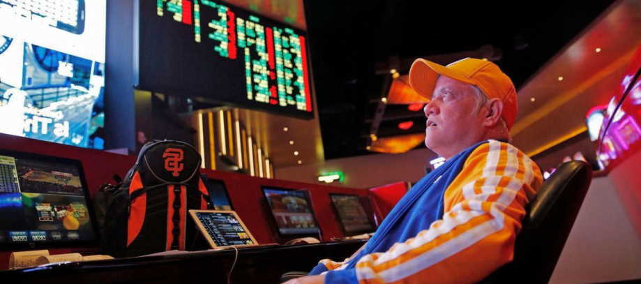Is It Okay To Gamble On Sports In NZ? Grab The Complete Details Here Now!