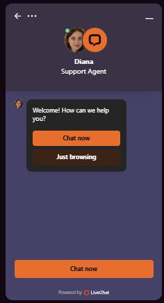 Support Agent